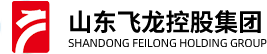 山东飞龙控股集团